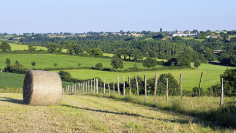 Le think tank Les Echos réclame un changement de méthode pour concrétiser la transition environnementale du secteur agricole. Le think tank Les Echos réclame un changement de méthode pour concrétiser la transition environnementale du secteur agricole.